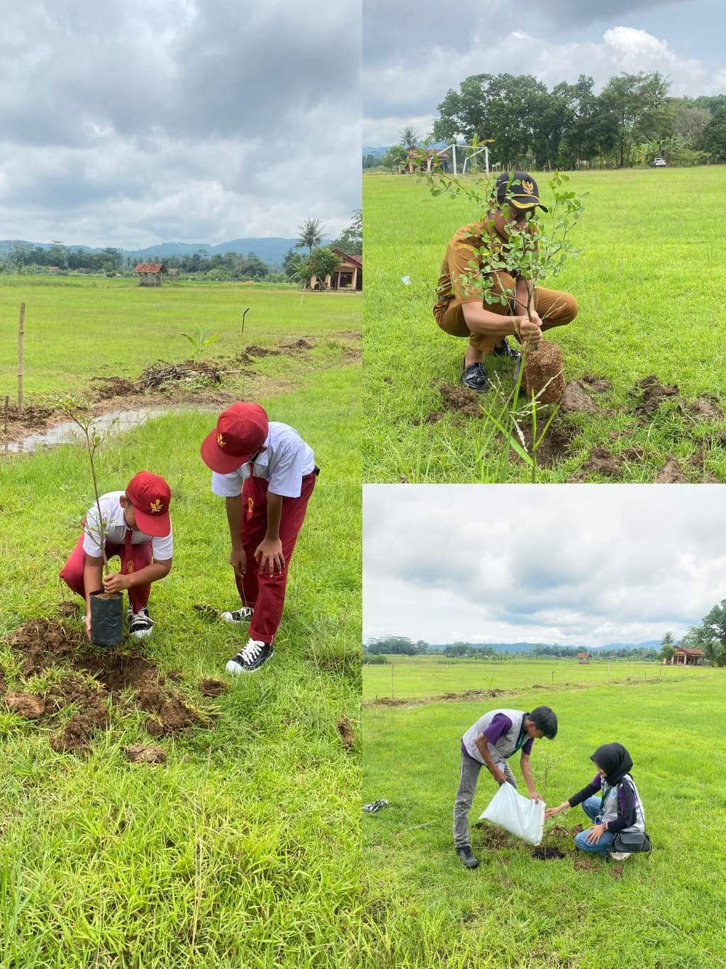Aksi Penanaman Pohon dan edukasi mitigasi banjir